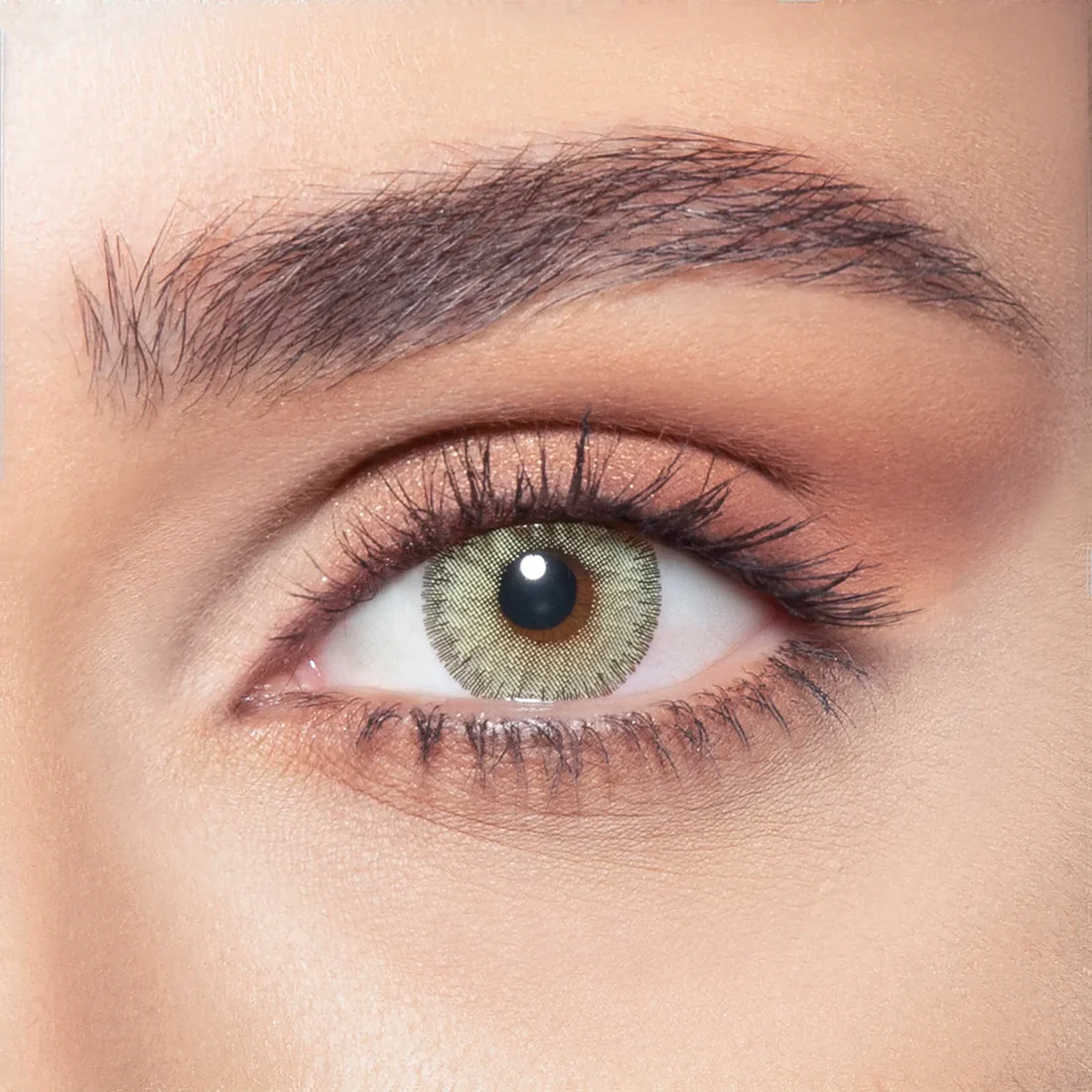 emerald-green-OnBrown emerald-green-OnBrown