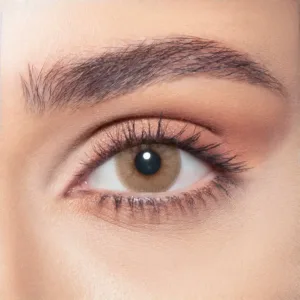 sandy-brown-OnBrown